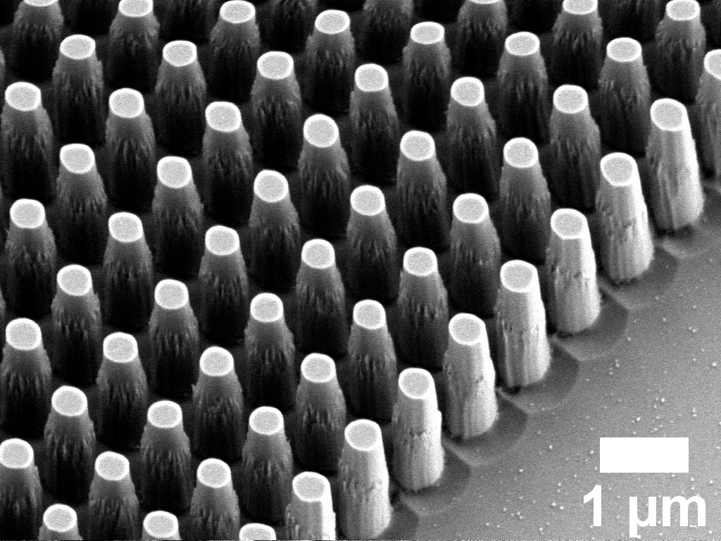 Zoom-in SEM image of nanopillars of the metalens