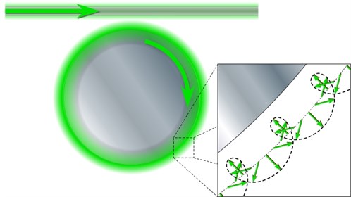 Longitudinal Cycloide