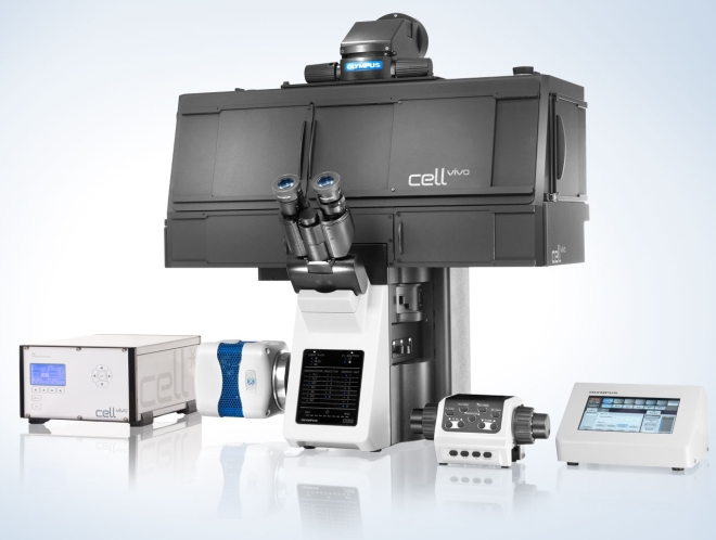 Olympus cellVivo