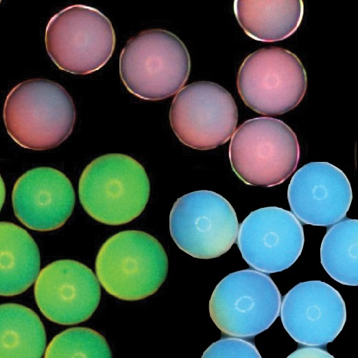 Encapsulated nanoparticles can create bright colors by amplifying particular wavelengths of light