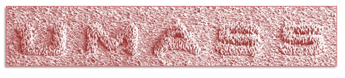UMass spelled out in nanopillars