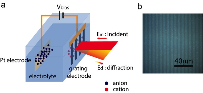 Schematic illustration of the spectroscopy design with graphene grating