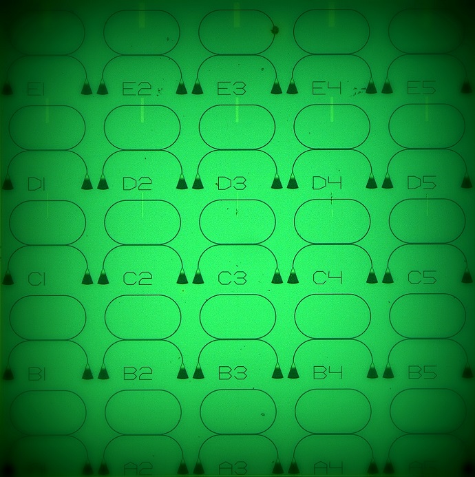 An optical microscope image of a chip containing several memory elements on a ring resonator architecture