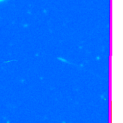 First observations of a candidate comet seen by visiting scientist David Cameron at Cerro Tololo Inter-American Observatory