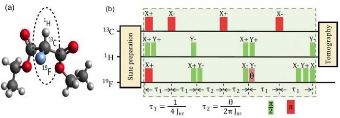 Chinese Scientists Realize Quantum Simulation of the Unruh Effect