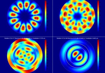 Wave patterns produced by whispering gallery lasers