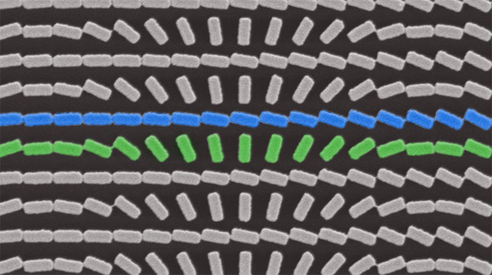 Two arrays of titanium oxide nanofins, scale bar 600 nm