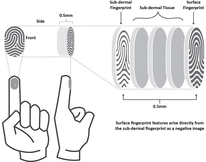 Compact Imaging to Demonstrate Sub-dermal Fingerprint for Presentation Attack Detection At GIS2016 in Tampa