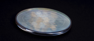 Axicon array on circular substrate