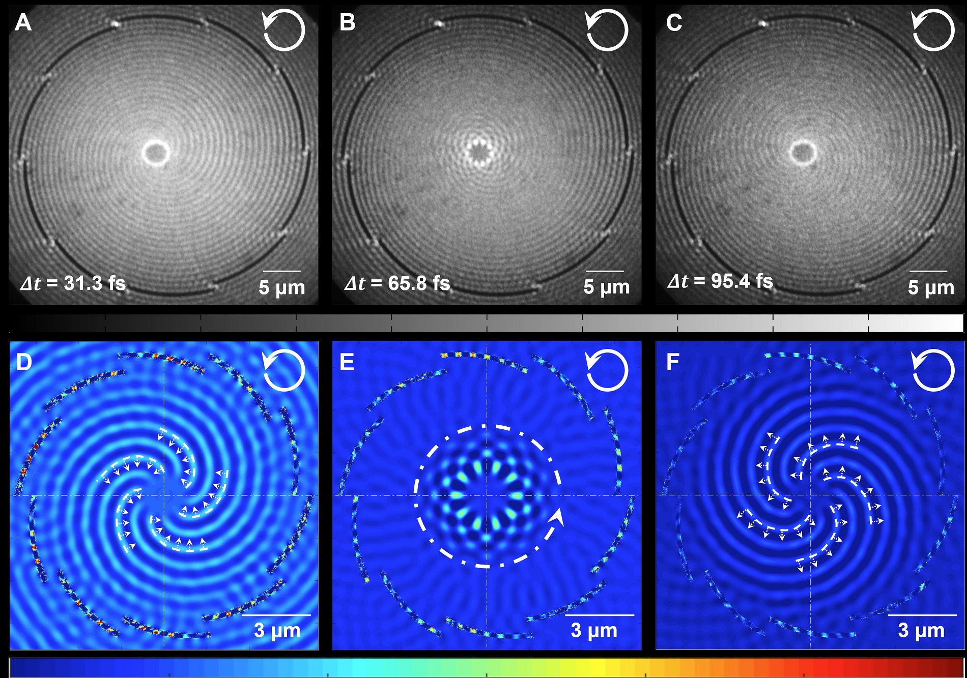 Description of the formation of the plasmonic vortex