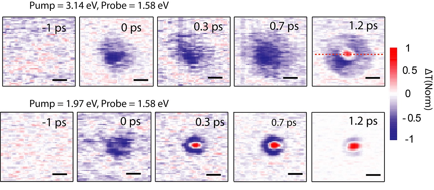 Scientists at Purdue University and the National Renewable Energy Laboratory have discovered how electrons move in a new crystalline material and this discovery could lead to doubling the efficiency of solar cells