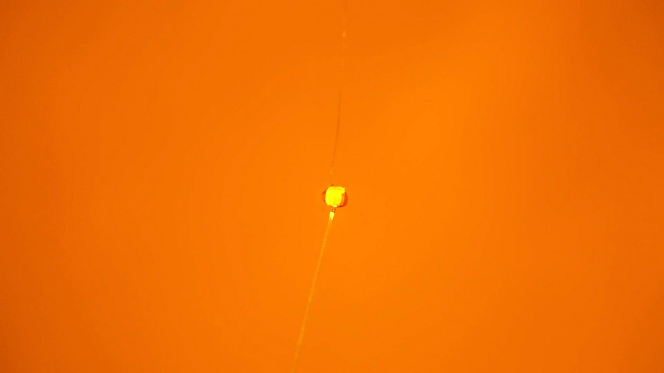 series of optical images showing a snapping motion capturing a piece of rice falling down to the device