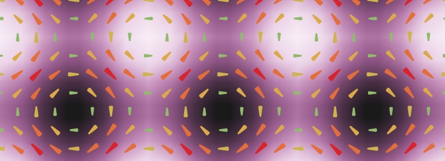 Photo credit: Leiden University