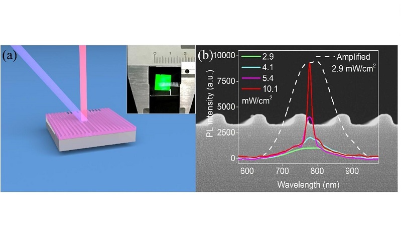 A schematic image of DFB Si laser